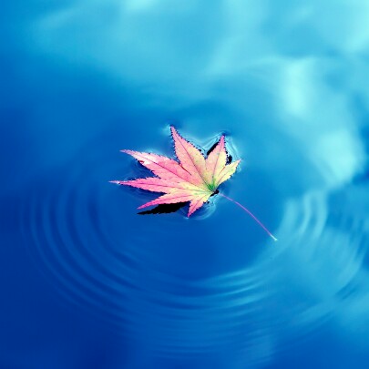 好听的纯音乐_又怎样