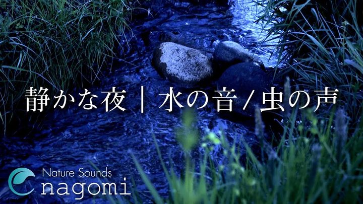 【环境音/ASMR】水的声音・虫鸣｜安静夜晚的虫鸣・轻柔的水声｜睡眠・放松｜自然环境音・Nature Sounds