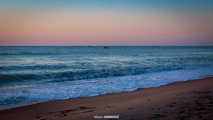 体验日出后的宁静氛围，在空无一人的海滩上，4K 高清