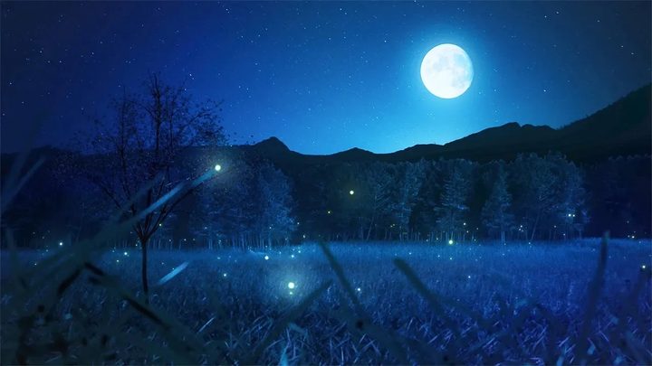 放松的睡眠音乐和夜晚的自然之声：轻柔的蟋蟀声、优美的钢琴声、深度睡眠音乐