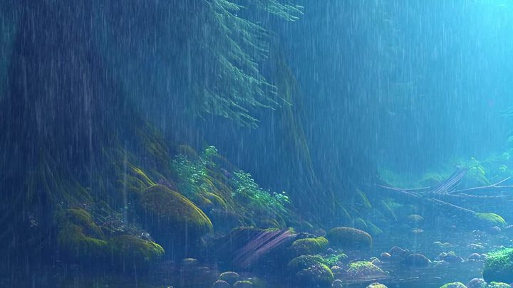 热带雨林·鸟鸣